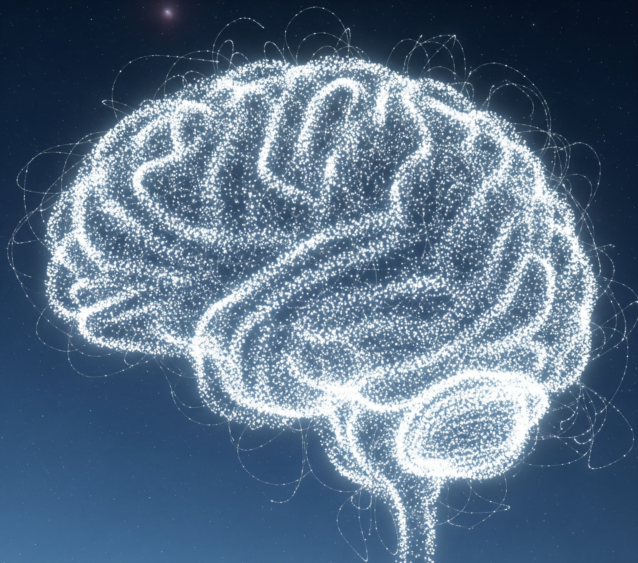 swarm intelligence